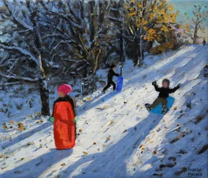 Trineo rojo, Allestree Park Derby. 2014